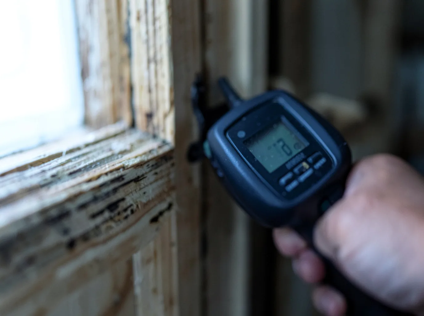Moisture Inspection And Documentation in Delmont, NJ